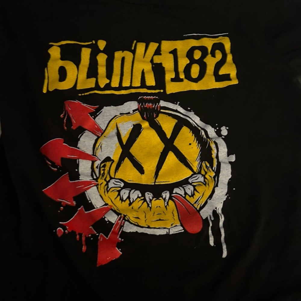 Blink 182 2023 official tour shirt